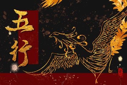 2024年出生的五行 2024年出生是属什么命缺什么 2024年出生的五行 2024年出生是属什么命缺什么