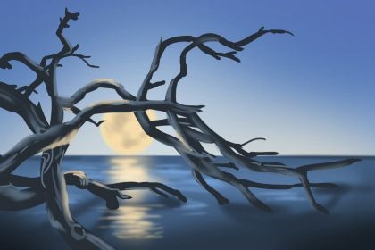 梅花易数解析 梅花易数取卦解卦的方法 梅花易数解析 梅花易数取卦解卦的方法