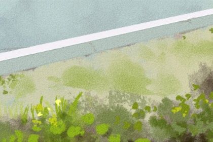 晚上十点出生是什么时辰 有什么样的运势 晚上十点出生是什么时辰 有什么样的运势