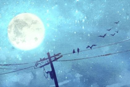 日柱癸巳2023年运势 癸巳日柱2023年可能结婚 日柱癸巳2023年运势 癸巳日柱2023年可能结婚