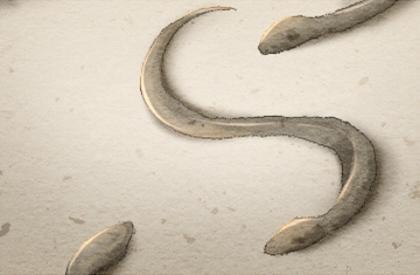 城墙土是属于几等命 城墙土命好不好 城墙土是属于几等命 城墙土命好不好