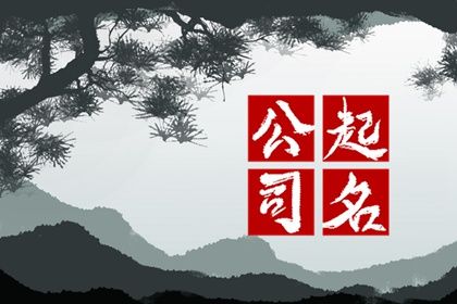 带有寓意的公司名字 专业标准的公司名字 带有寓意的公司名字 专业标准的公司名字