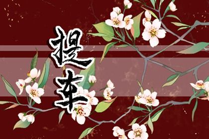 2024年3月2日提车好不好 是黄道吉日吗 2024年3月2日提车好不好 是黄道吉日吗