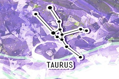 2024年考研顺利的星座 哪些星座学习运佳 2024年考研顺利的星座 哪些星座学习运佳